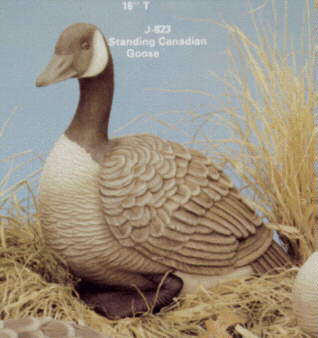 Click Here for Full View 