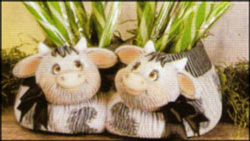 Click Here for Full View 